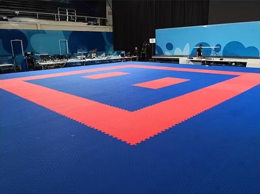 Wrestling Mat - Premium Quality | Gravolite
