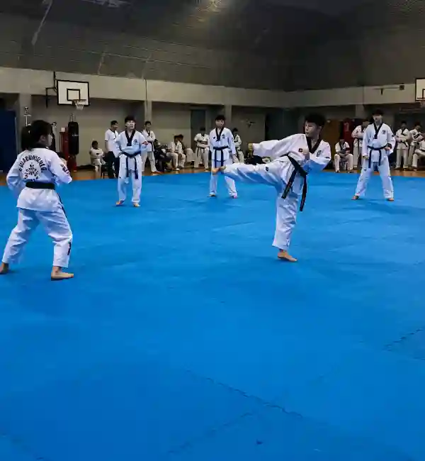 Premium Taekwondo Mat | Gravolite