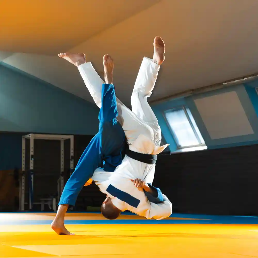 judo Mat