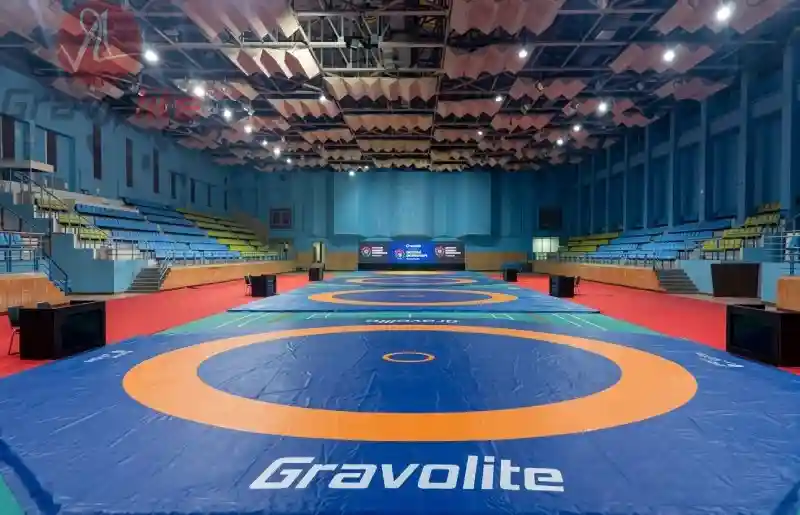 The Foundation: High-performance Wrestling Mats