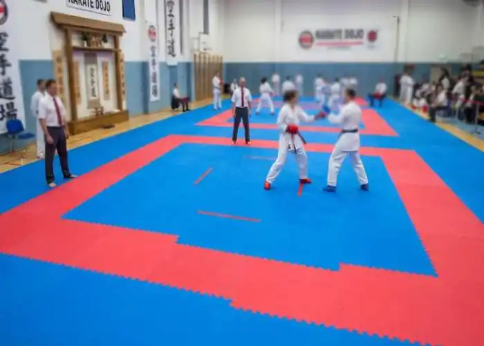 Comprehensive Traditional Gear & Inline Training Equipment