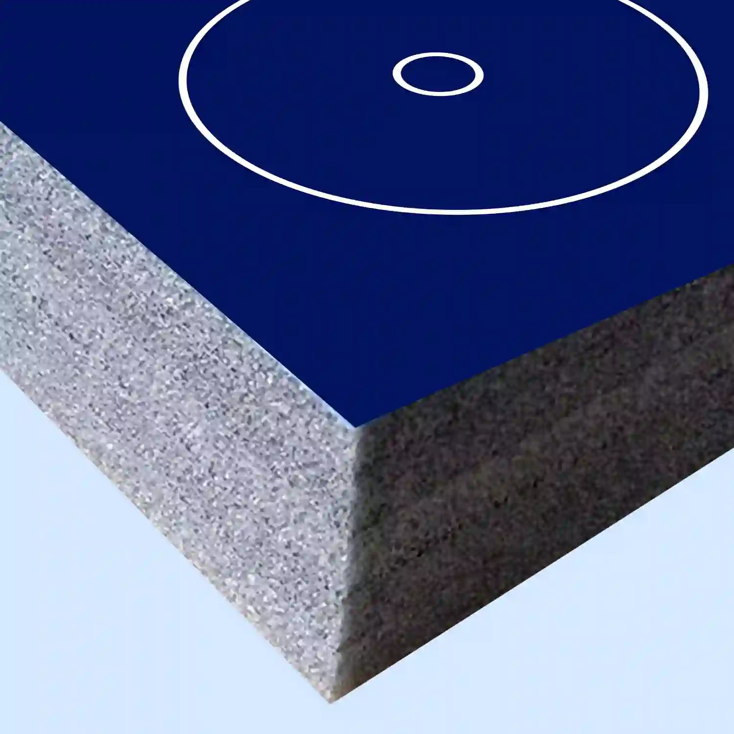 Wrestling Training Mat