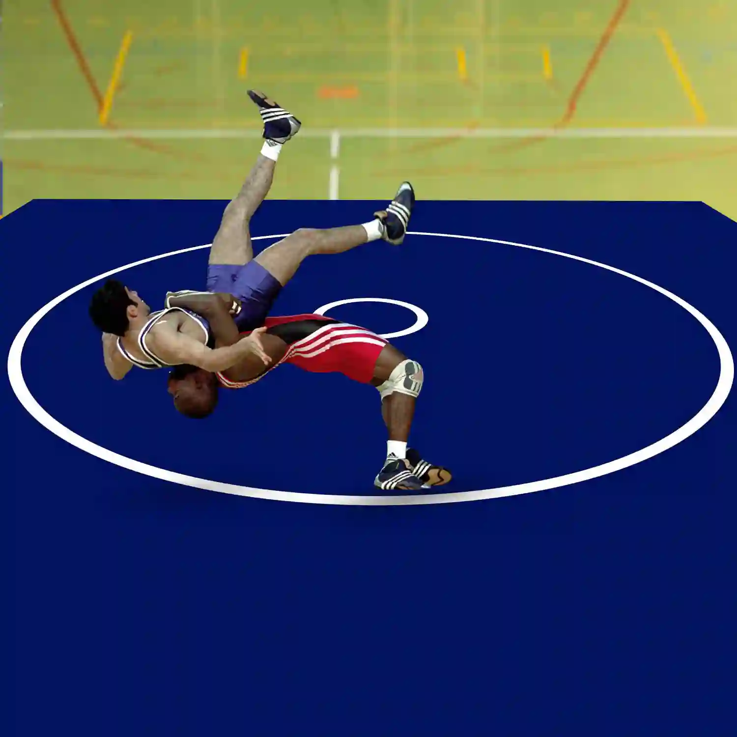 Gravolite Wrestling Training  Mat