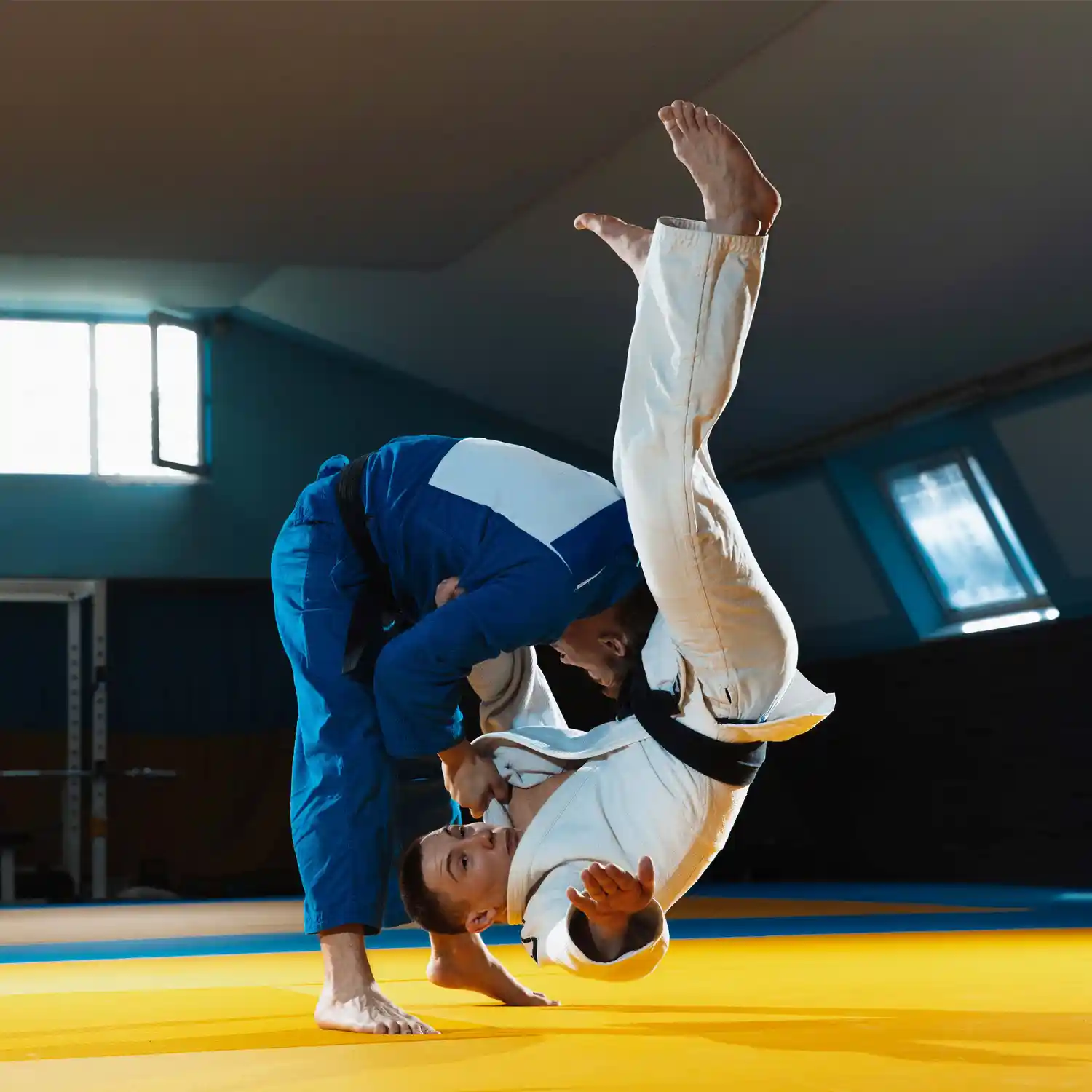 Gravolite Training Mats