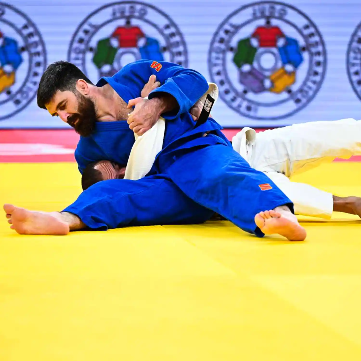 Approved Judo Mat