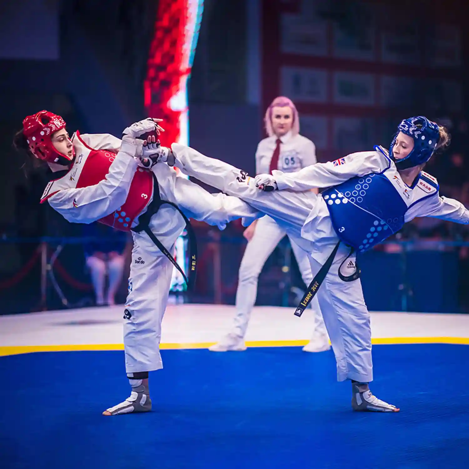 Taekwondo Mats
